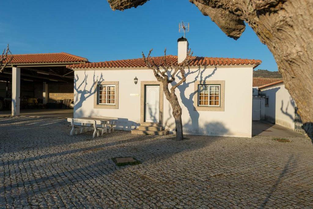 Quinta Sta Luzia Carrascal Villa Vila Flor Buitenkant foto